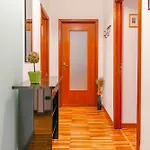 Antonelli 211 By Toh Solution