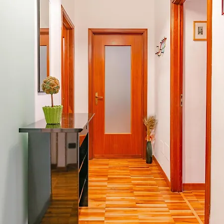 Antonelli 211 By Toh Solution